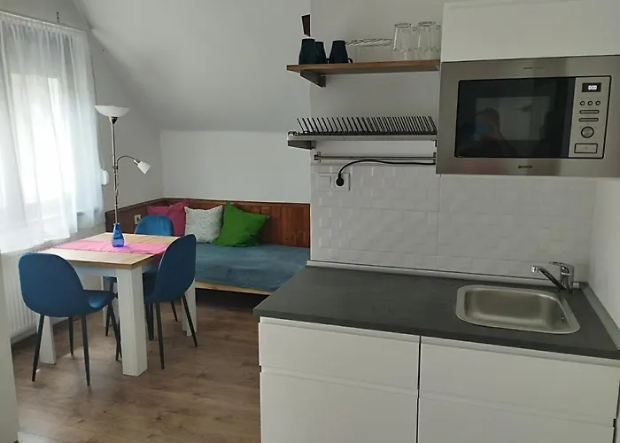 Boerzsoeny Vendeghaz